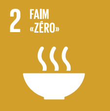 SDG 2