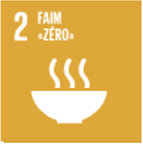 SDG 2