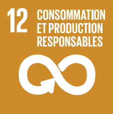 SDG 12