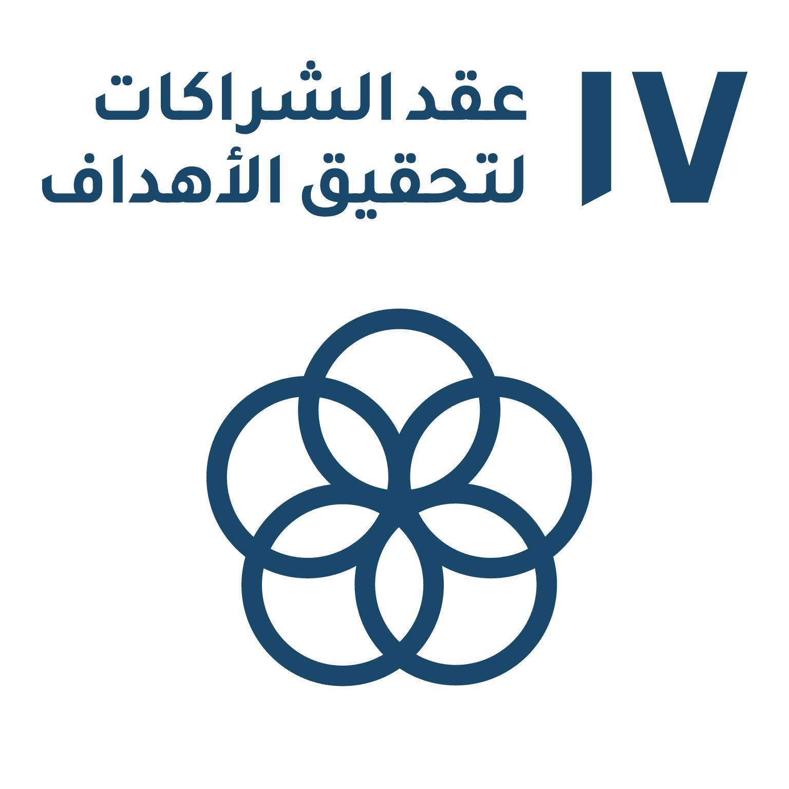 الهدف ١٧: عقد الشراكات لتحقيق الأهداف