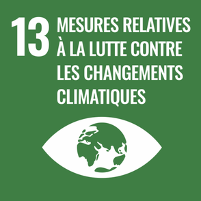 sdgs-1