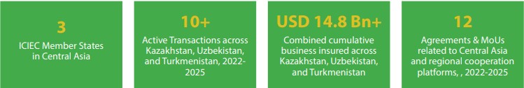 Central Asia Portfolio